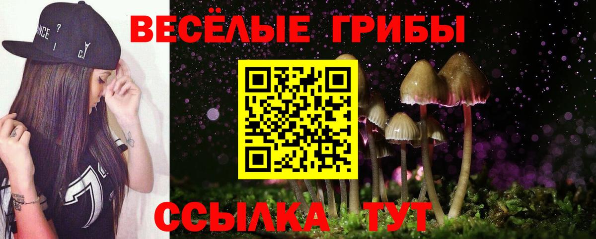 Галлюциногенные грибы ЛСД  Вход с VPN  Галлюциногенные грибы Psilocybe  Алапаевск 